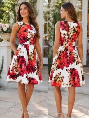 Floral Fit & Flare Sleeveless Dress in White with Red Bloom With Pockets Sz 16